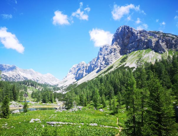 Bohinj Triglavska