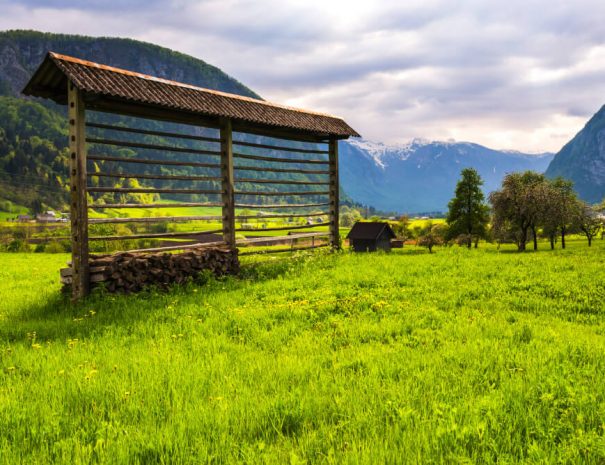 Bohinj Valley