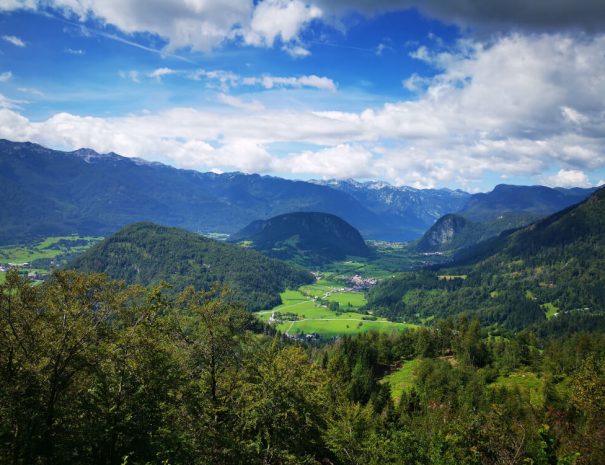 Bohinj Views