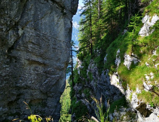 Bohinj soteska