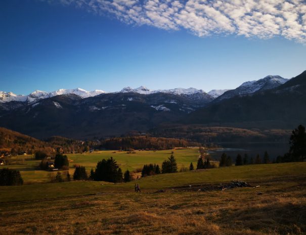 Bohinj valley