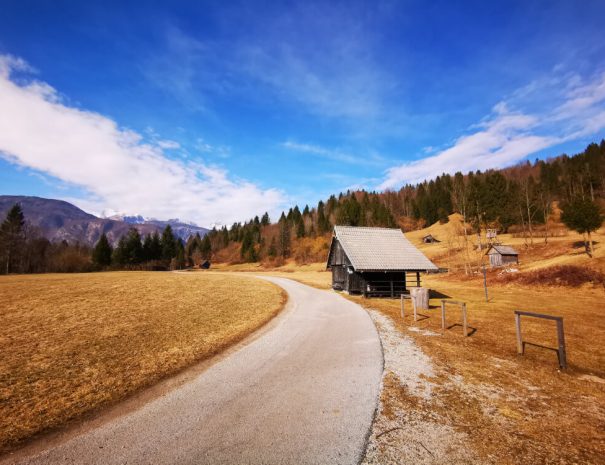 Bohinj visit