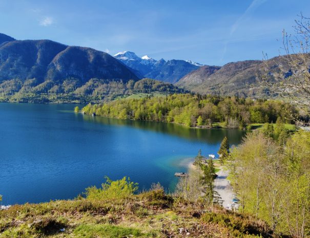 Bohinj Lake Summer